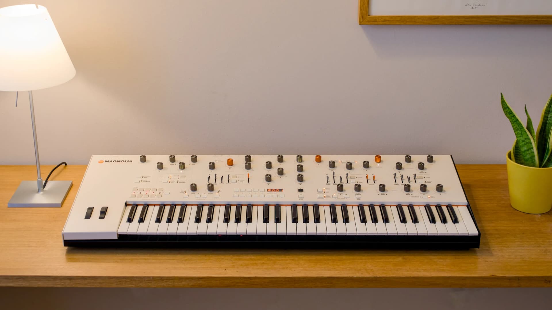 Frap Tools Magnolia: 8‑Voice Analog Through‑Zero FM with a Mod‑Matrix Built for Performance